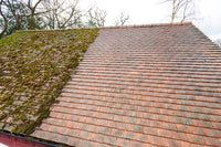 Roof Cleaning